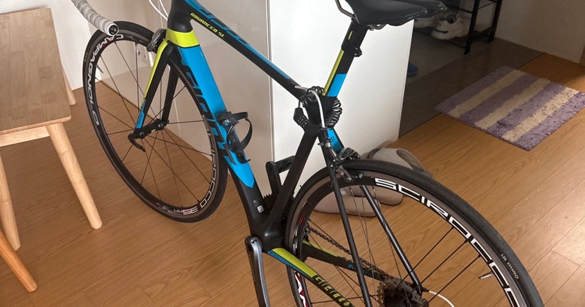 자이언트tcr 어드밴스 sl2 17년식 팝니다. | 스포츠/레저 | 당근 중고거래