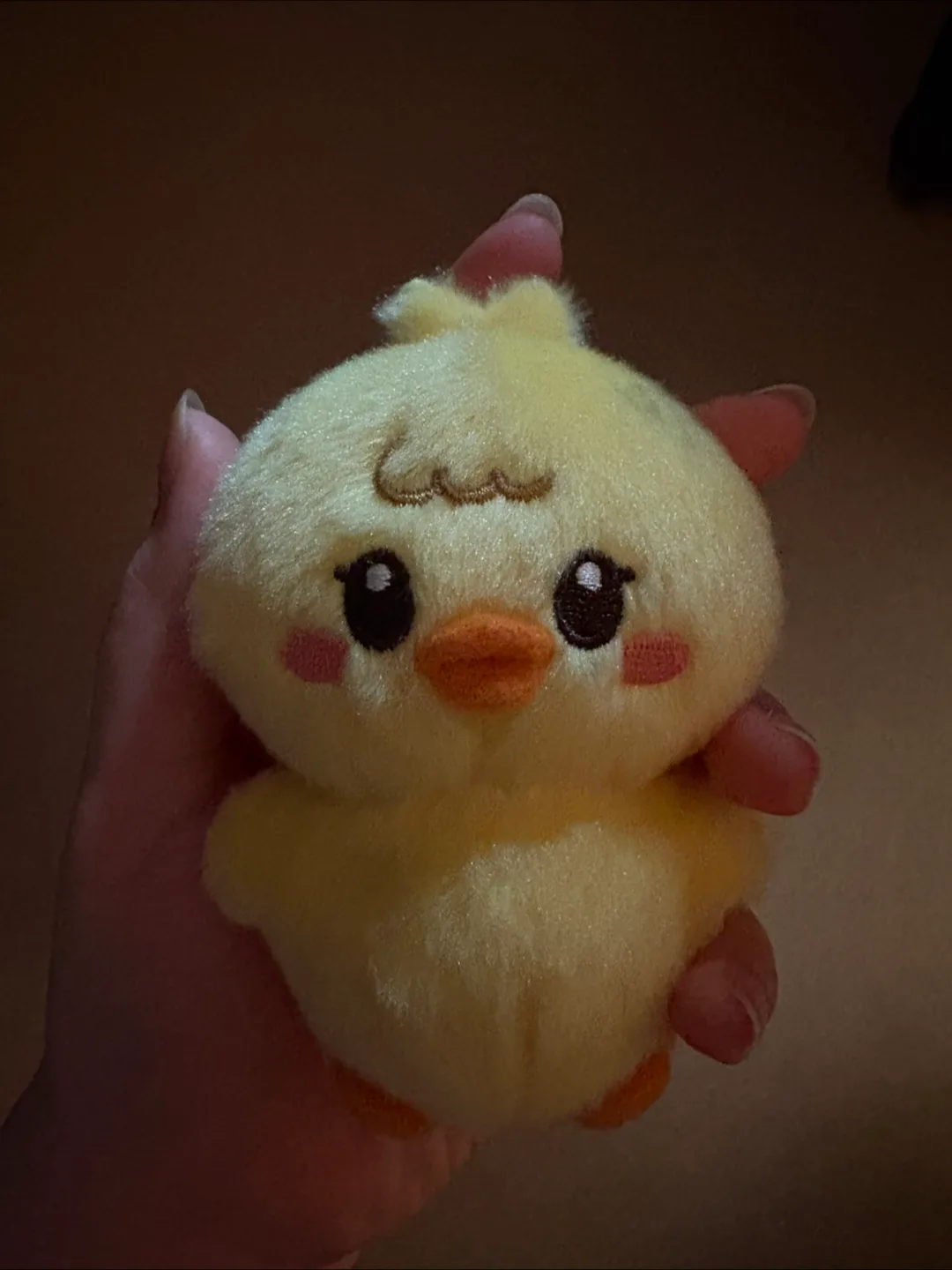 뿌덕이 오리 인형
