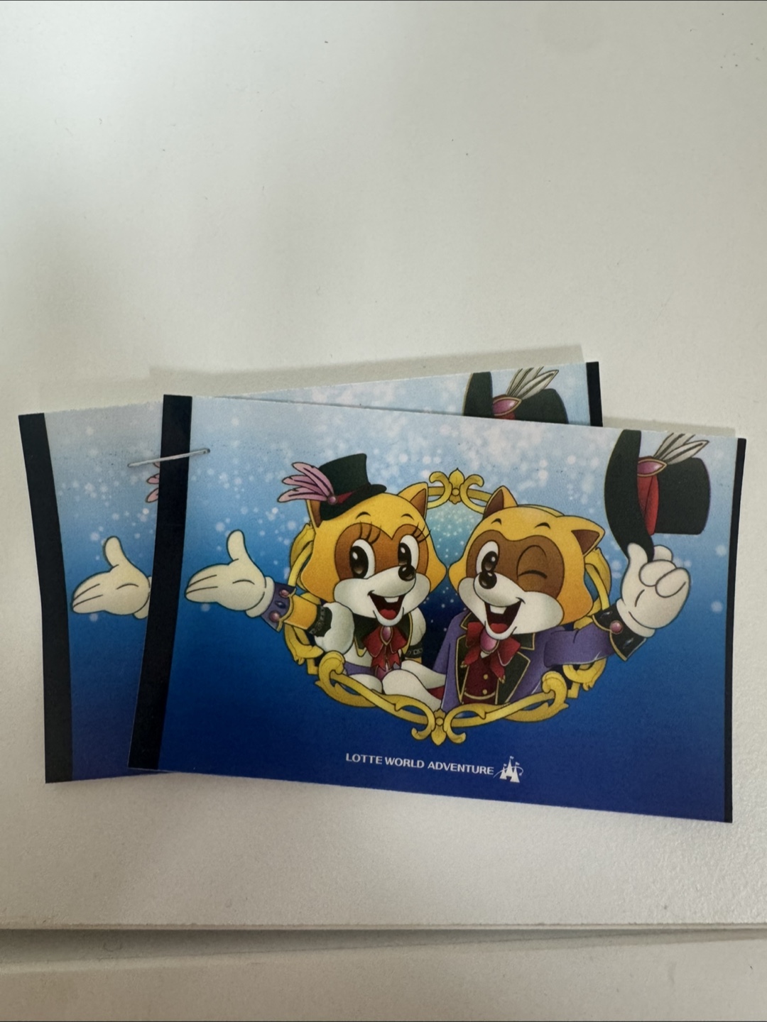 롯데월드 자유이용권 성인 2매 (~6/30)