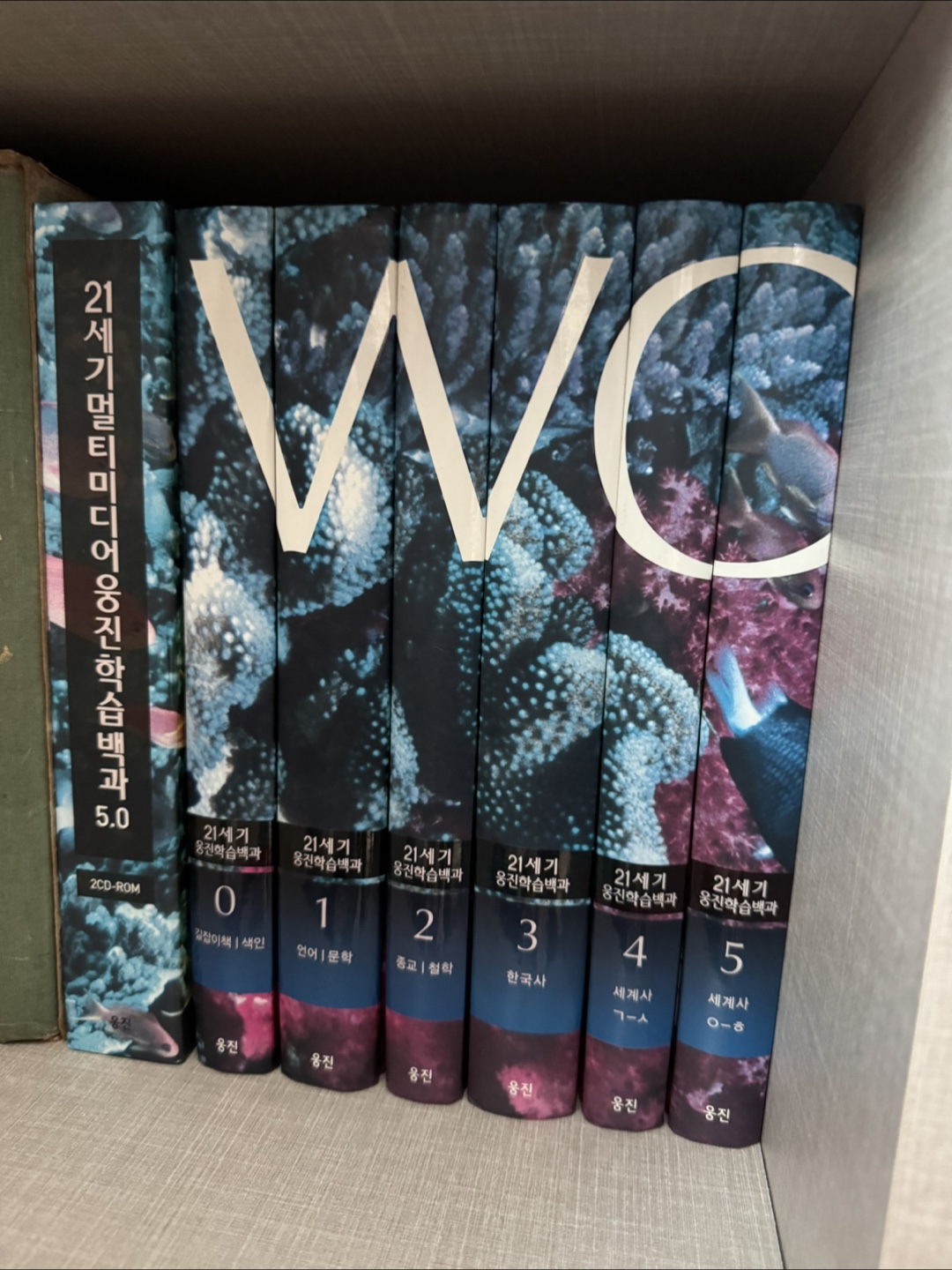 21세기멀티미디어웅진학습백과