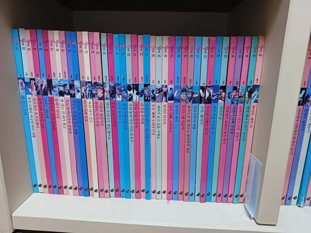 자연관찰 책 전집