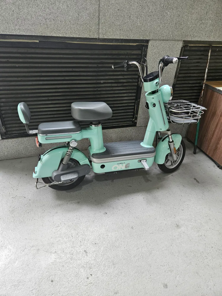 마이롤드원 민트 전기 자전거