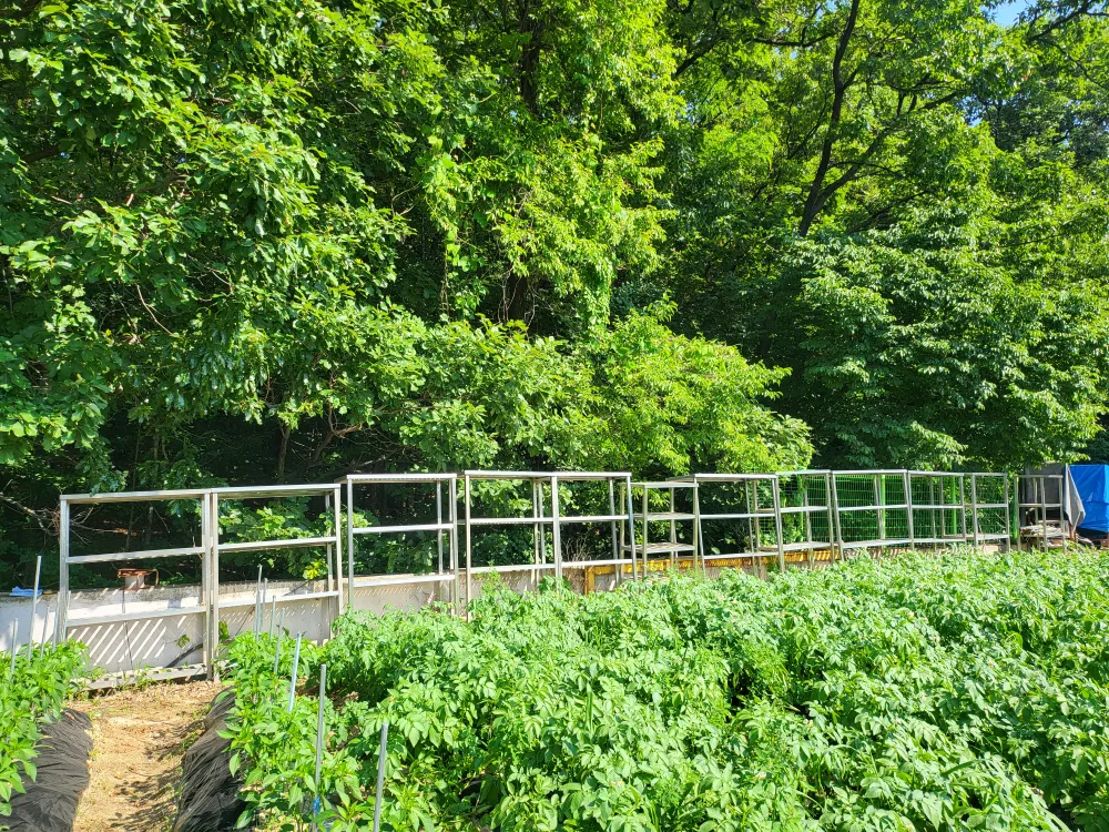 중고 스테인리스 선반 다이 팝니다