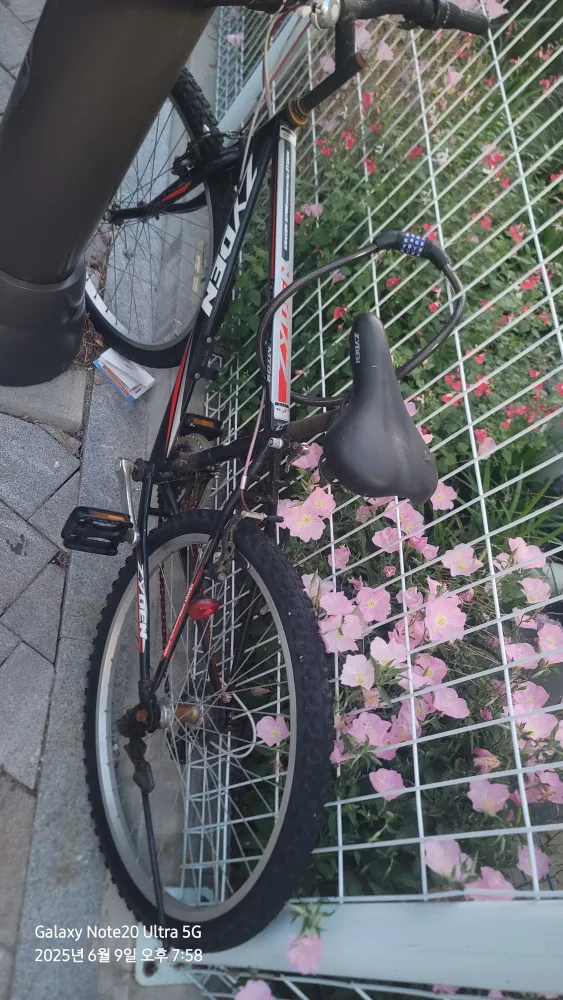 중고자전거 3만원에 판매