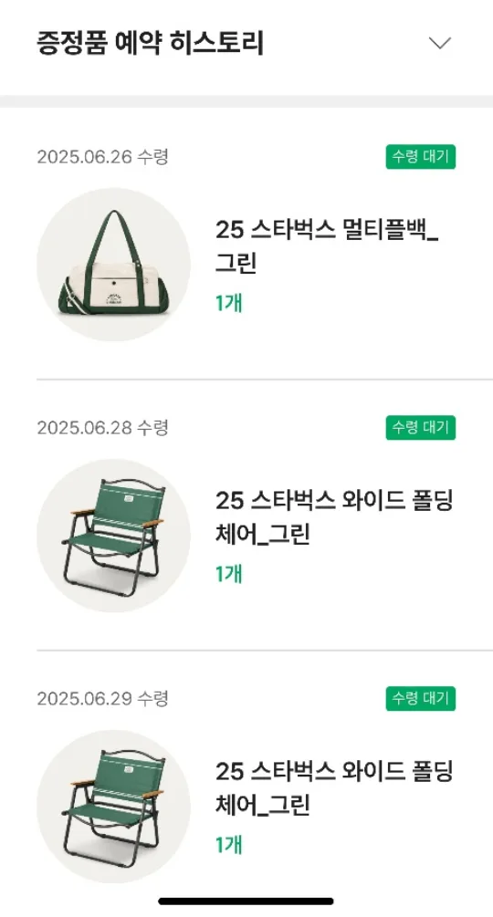 스타벅스 멀티플백 그린