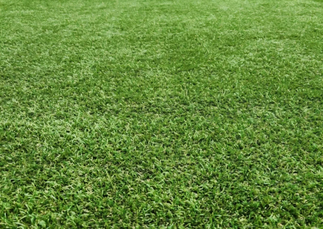 중고 인조잔디 🌱