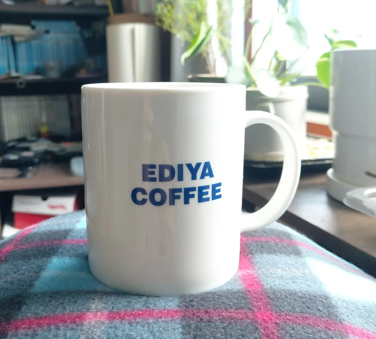 이디야 머그컵(중고)