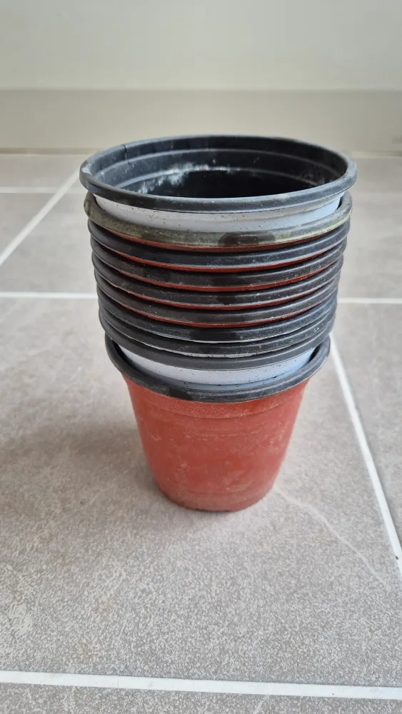 지름 10cm 플라스틱 중고화분 10개