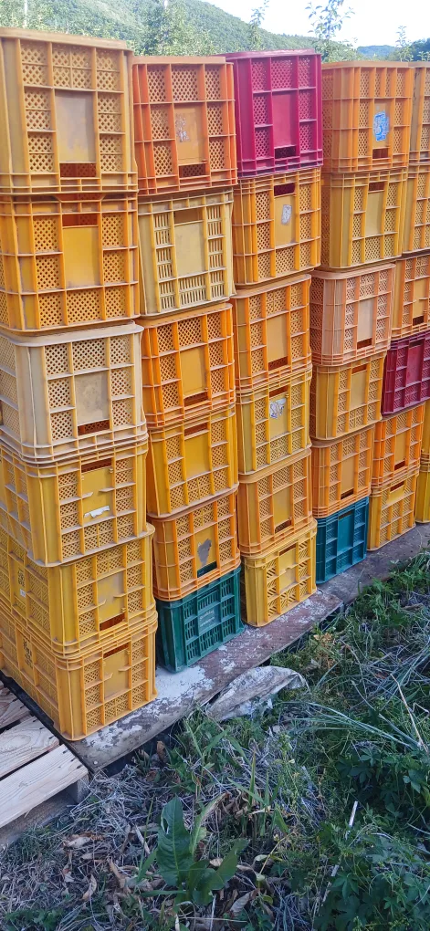 사과 상자 처분