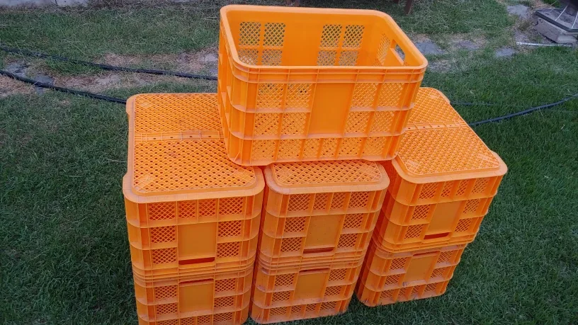 농사용 콘티박스 새거 개당 3000원 10개