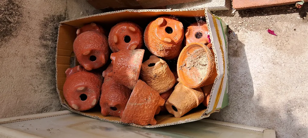 중고 화분 모음🪴다양한 디자인