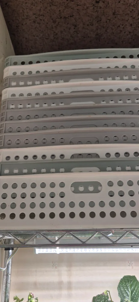 다이소 수납 바구니   중고