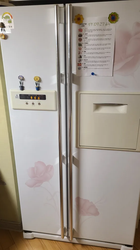 삼성 Twin Cooling 냉장고