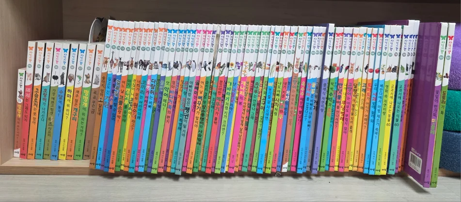 아람북스 자연이랑 자연관찰 책