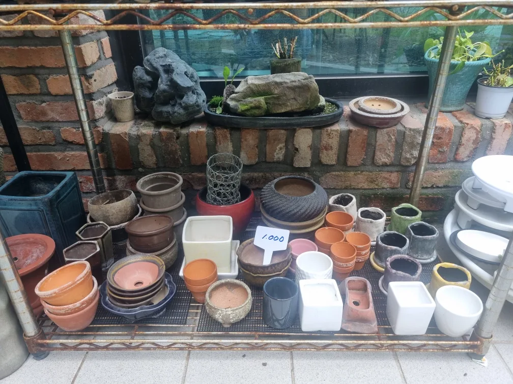 분재 다육이 중고 화분 모음🪴