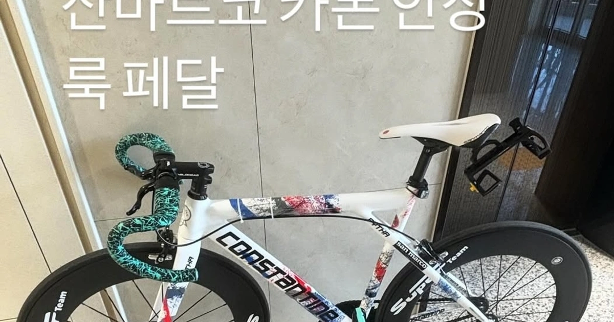 콘스탄틴 픽시 언노운 RX1 카본 | 스포츠/레저 | 당근 중고거래