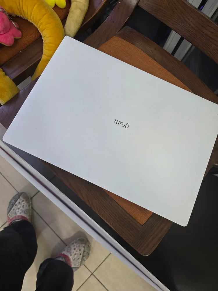 LG gram 17인치 노트북