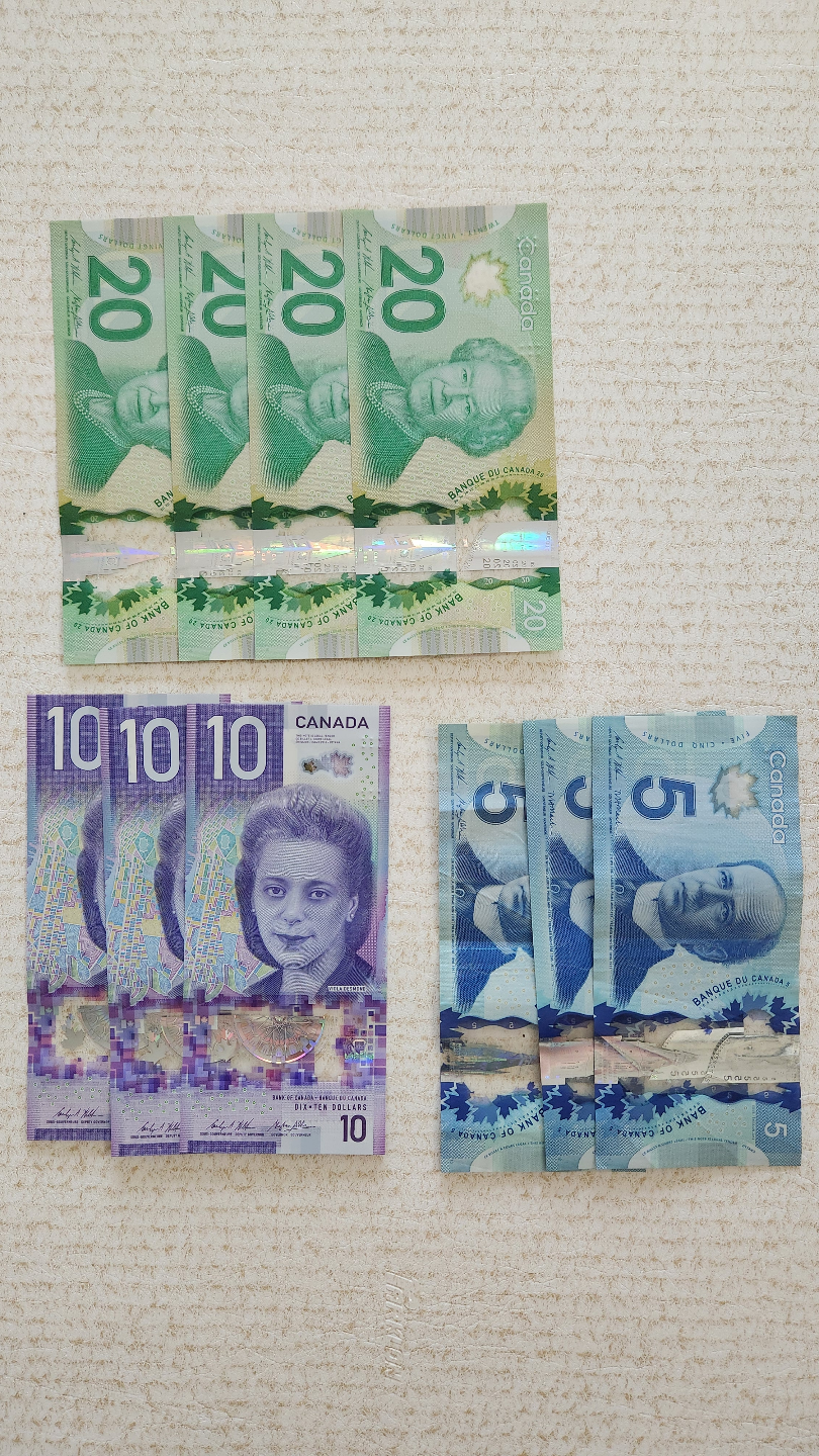 캐나다 125달러 팝니다