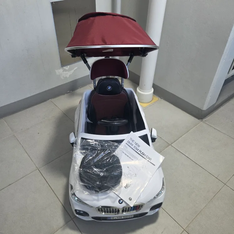 파파야나인 BMW X5 6세대 푸쉬카