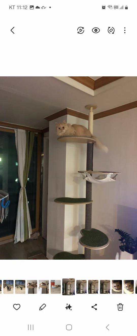 가또블랑코 캣타워 아이언 캣폴 원목 스크래쳐