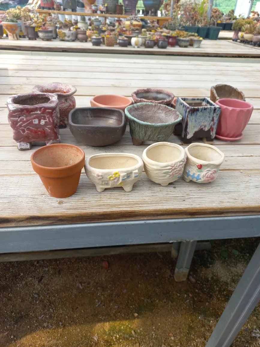 중고 화분 모음