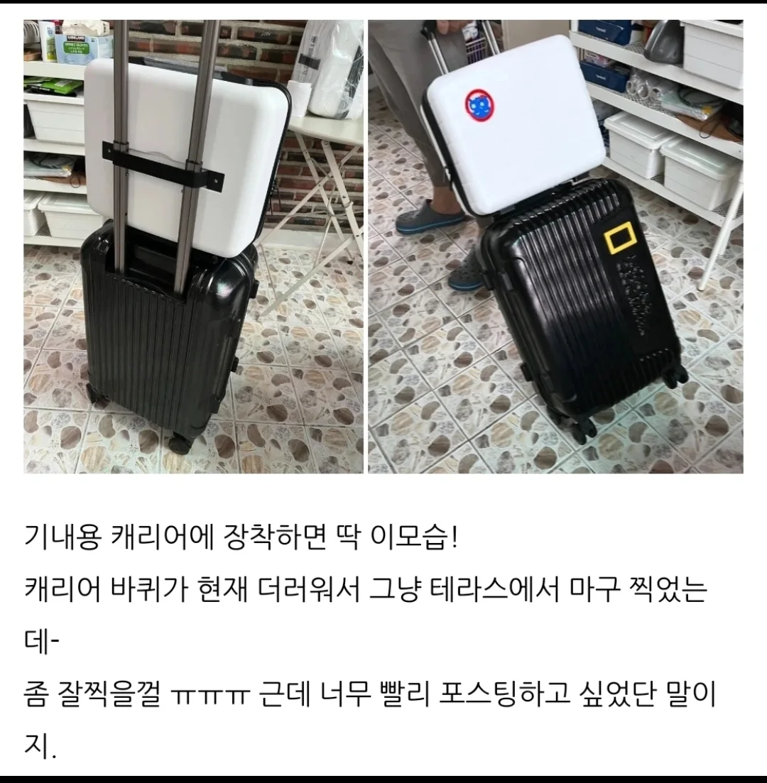여행용 보조 가방 새상품