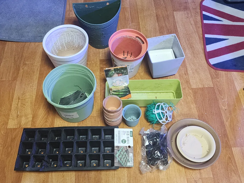 중고 화분 모음