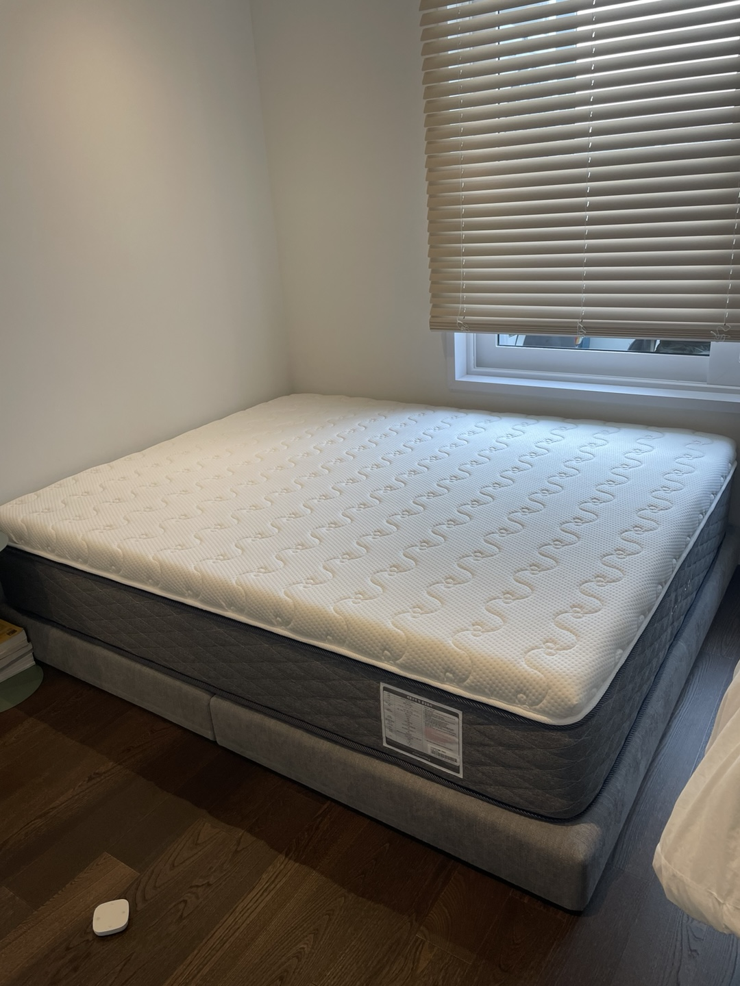 스테이모어 베이직파운데이션 라지킹