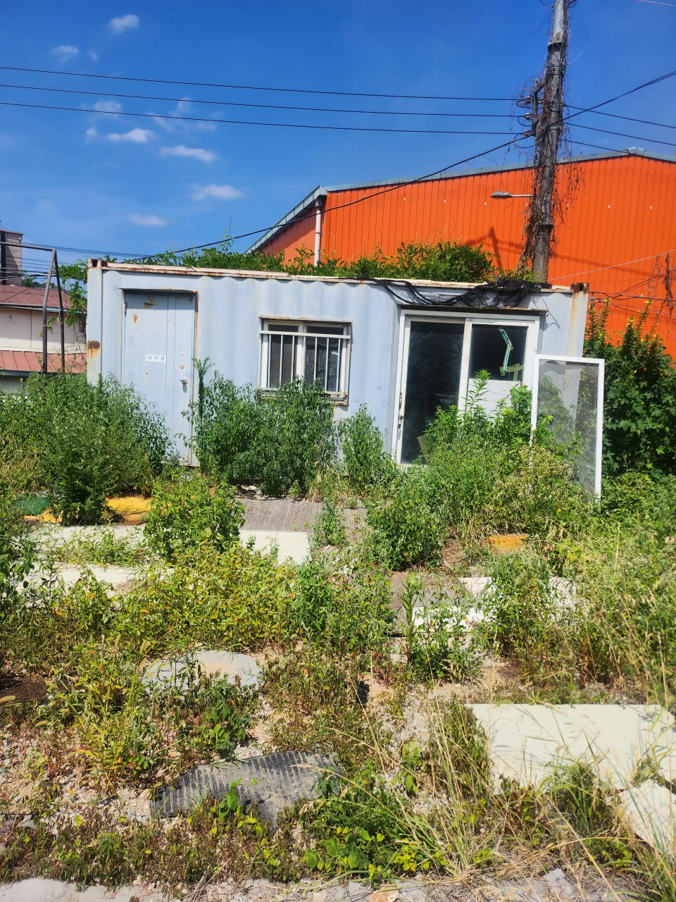 4*6 컨테이너 중고