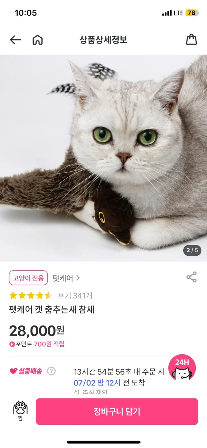 [미사용] 펫케어 캣 춤추는새 참새