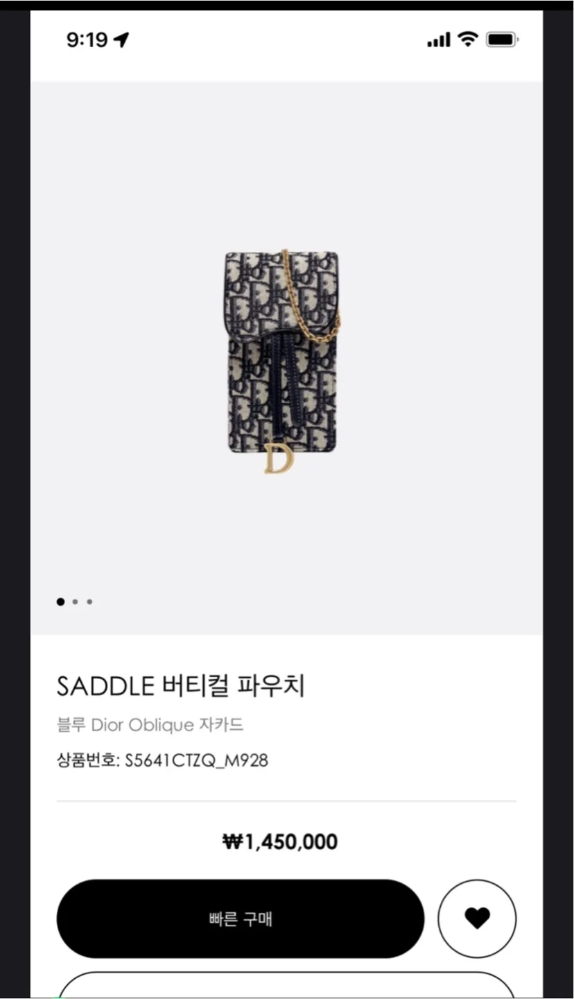 디올 오블리크 새들 버티컬 파우치