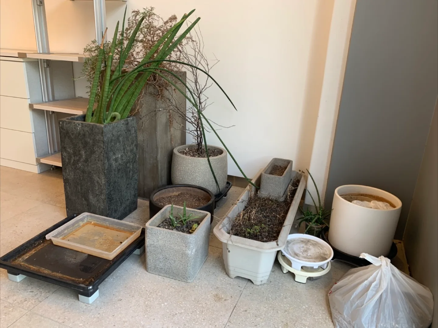 다양한 종류의 화분 모음