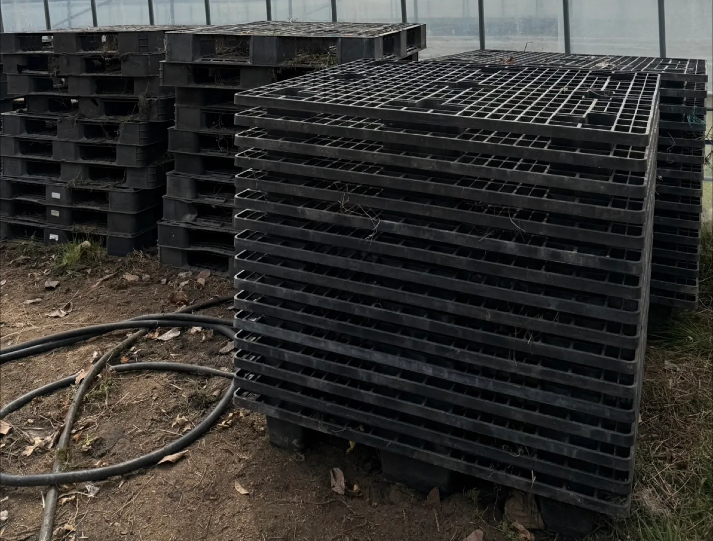 중고 검정 플라스틱 팔레트