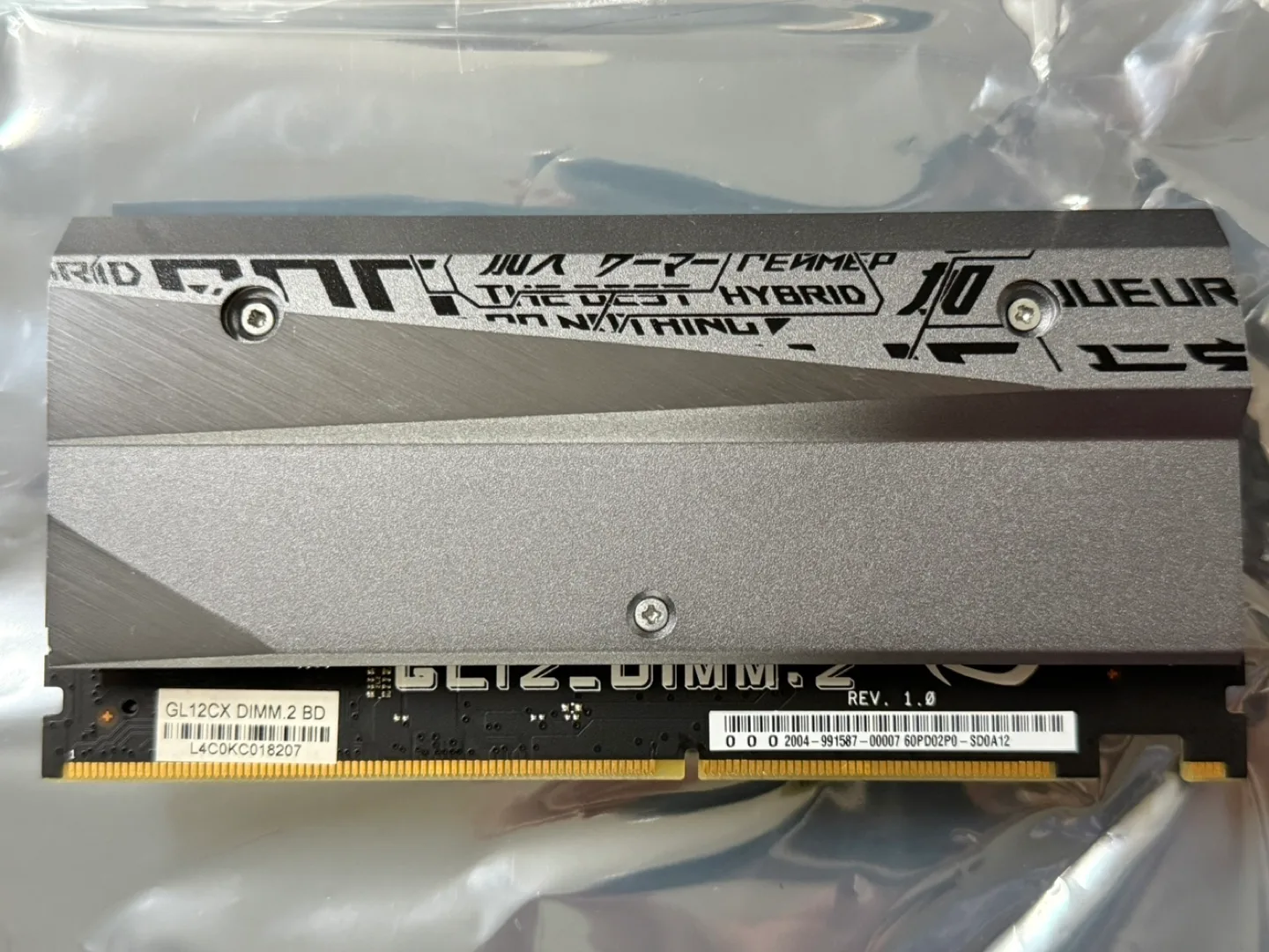 ROG dimm.2