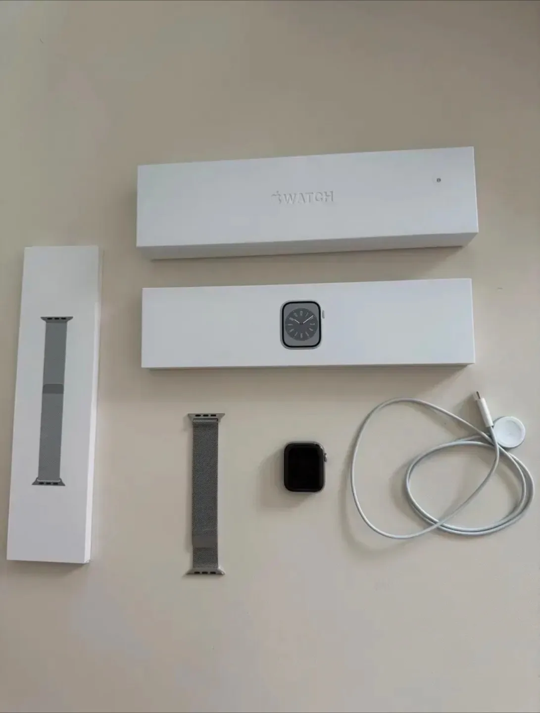 애플워치8 스테인리스(실버) 45mm