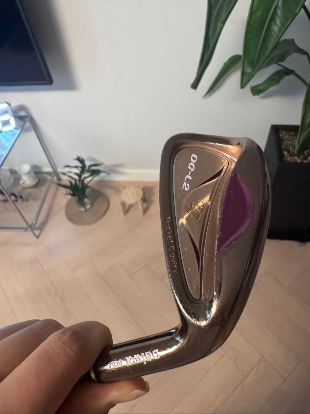 [중고]다이와 DG-L2 6번 아이언(여성)