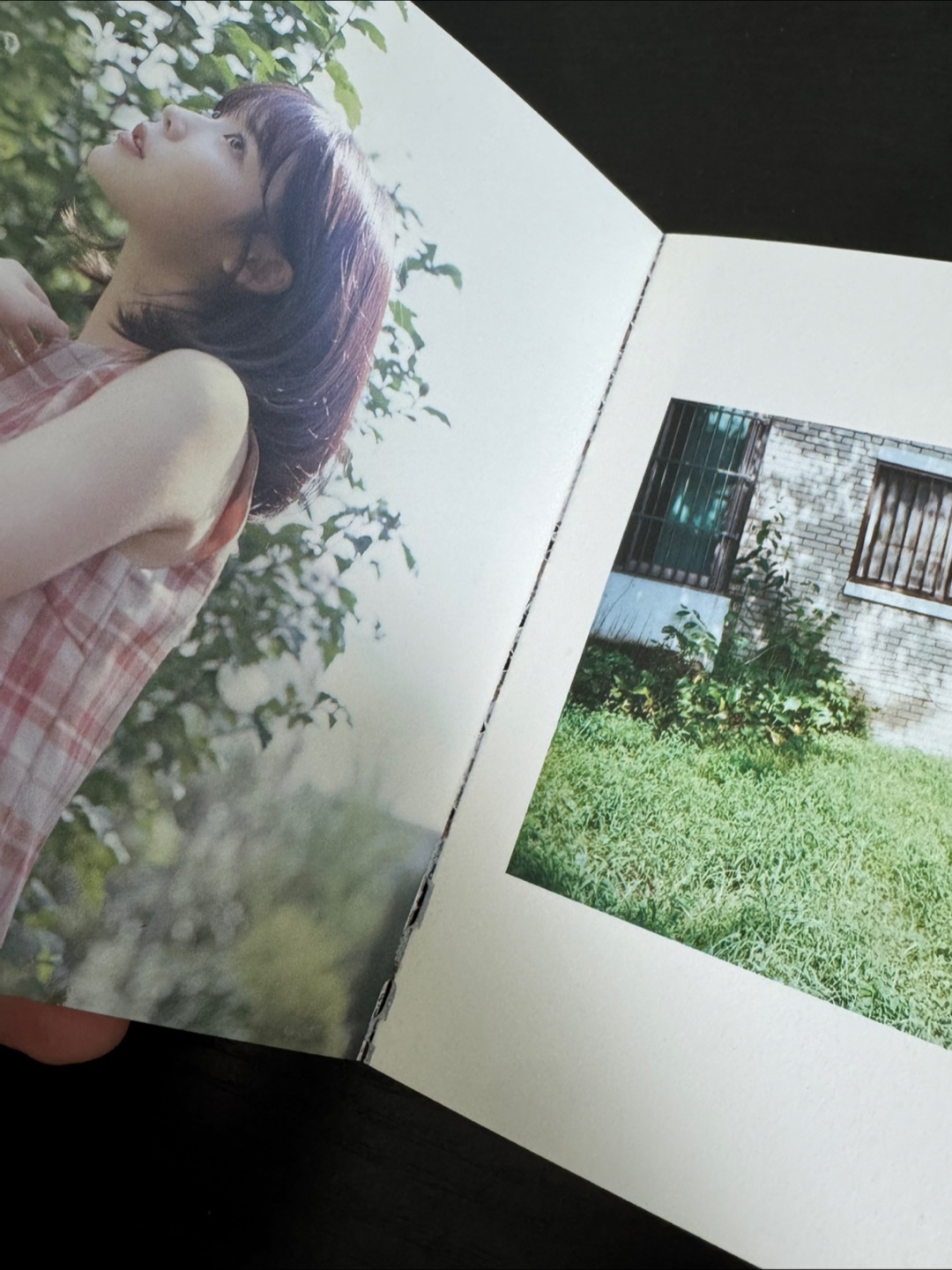 💿 [절판/희귀소장] 아이유 꽃갈피 둘 CD + 북클릿 (개봉/완품)