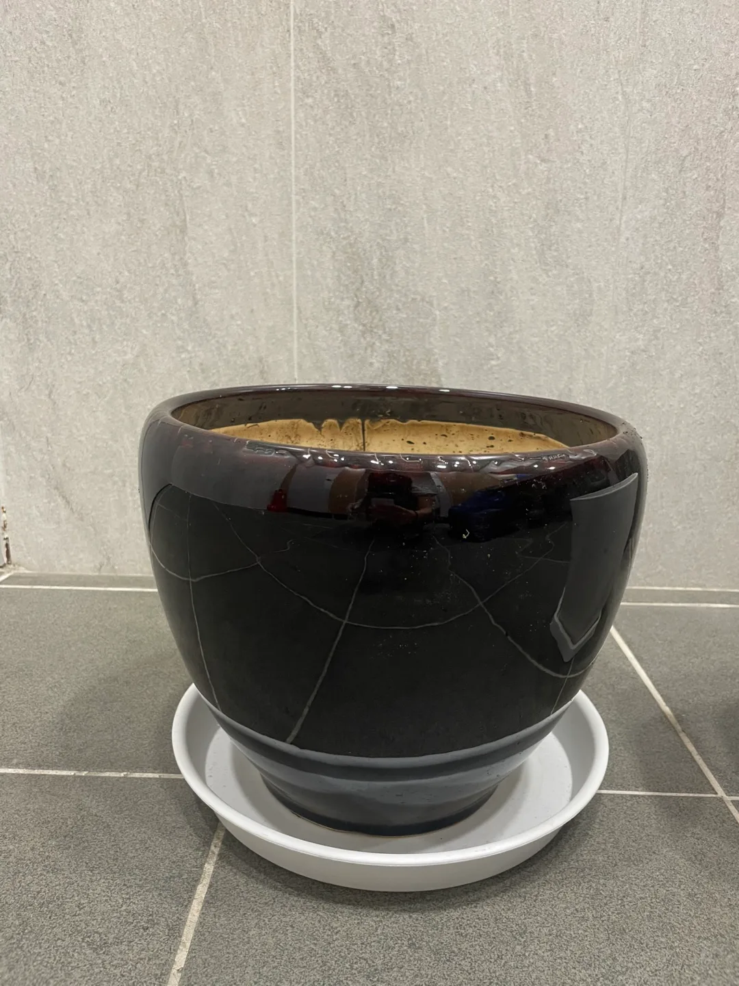 중고 화분 모음