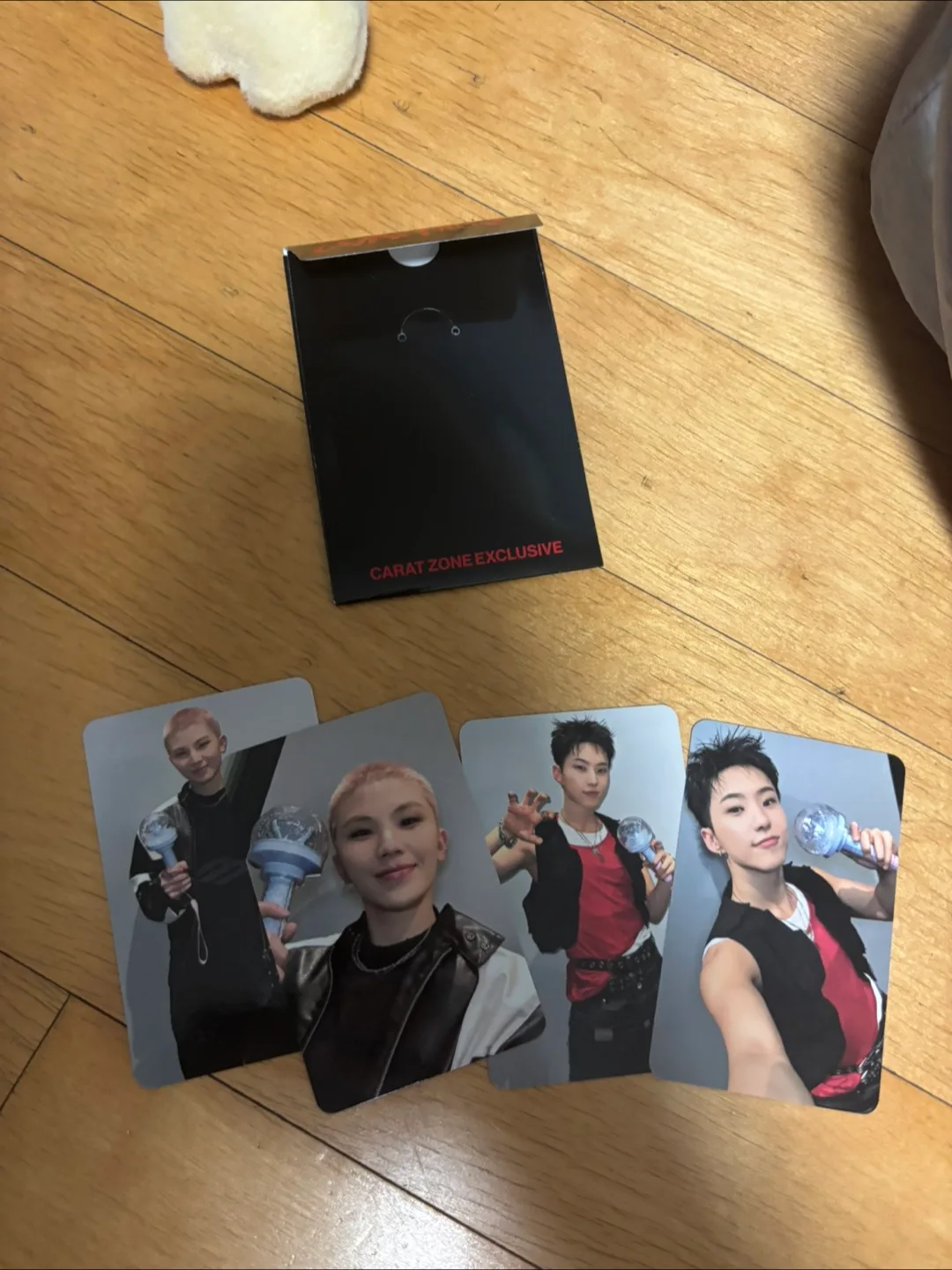 호시X우지 팬콘서트 WARNING 캐럿존 포카