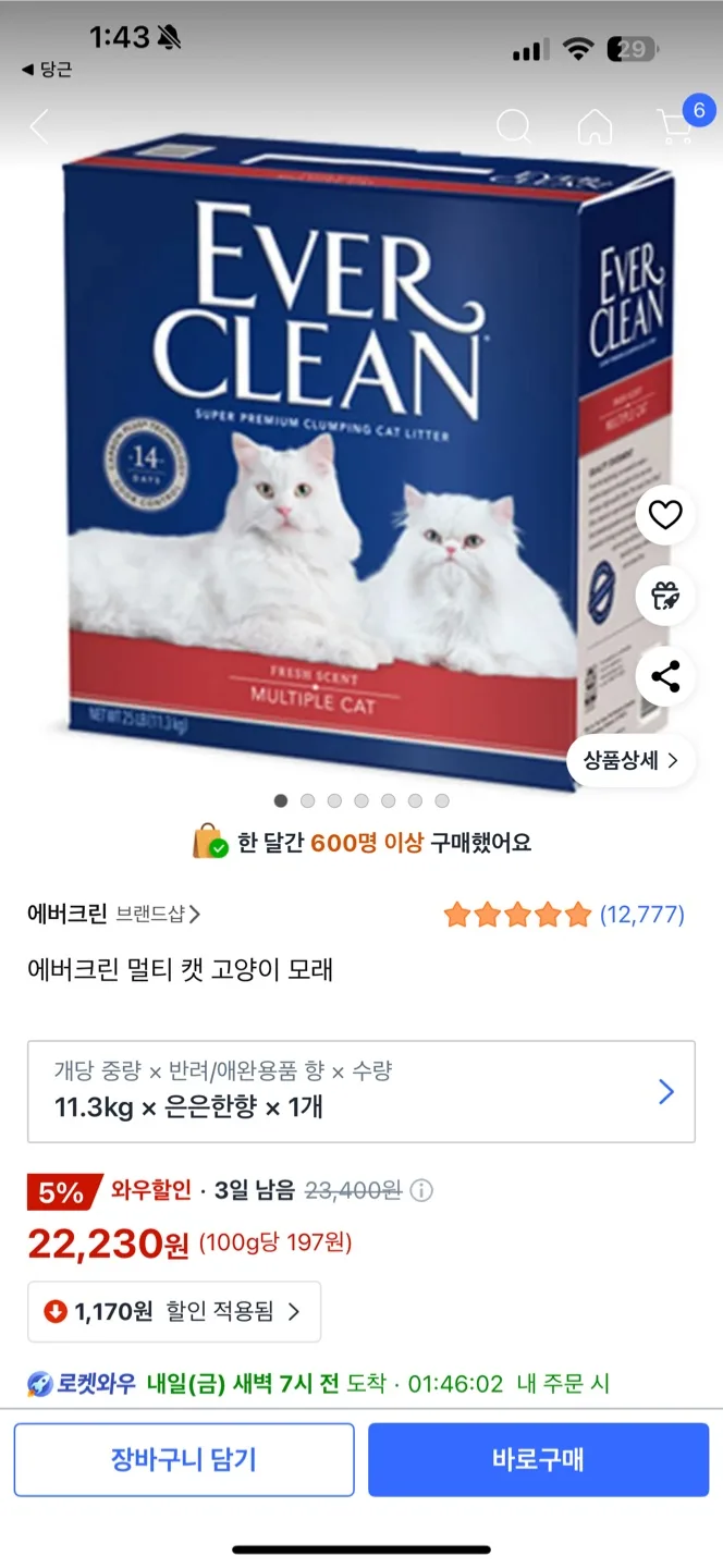 에버크린 mc 고양이모래