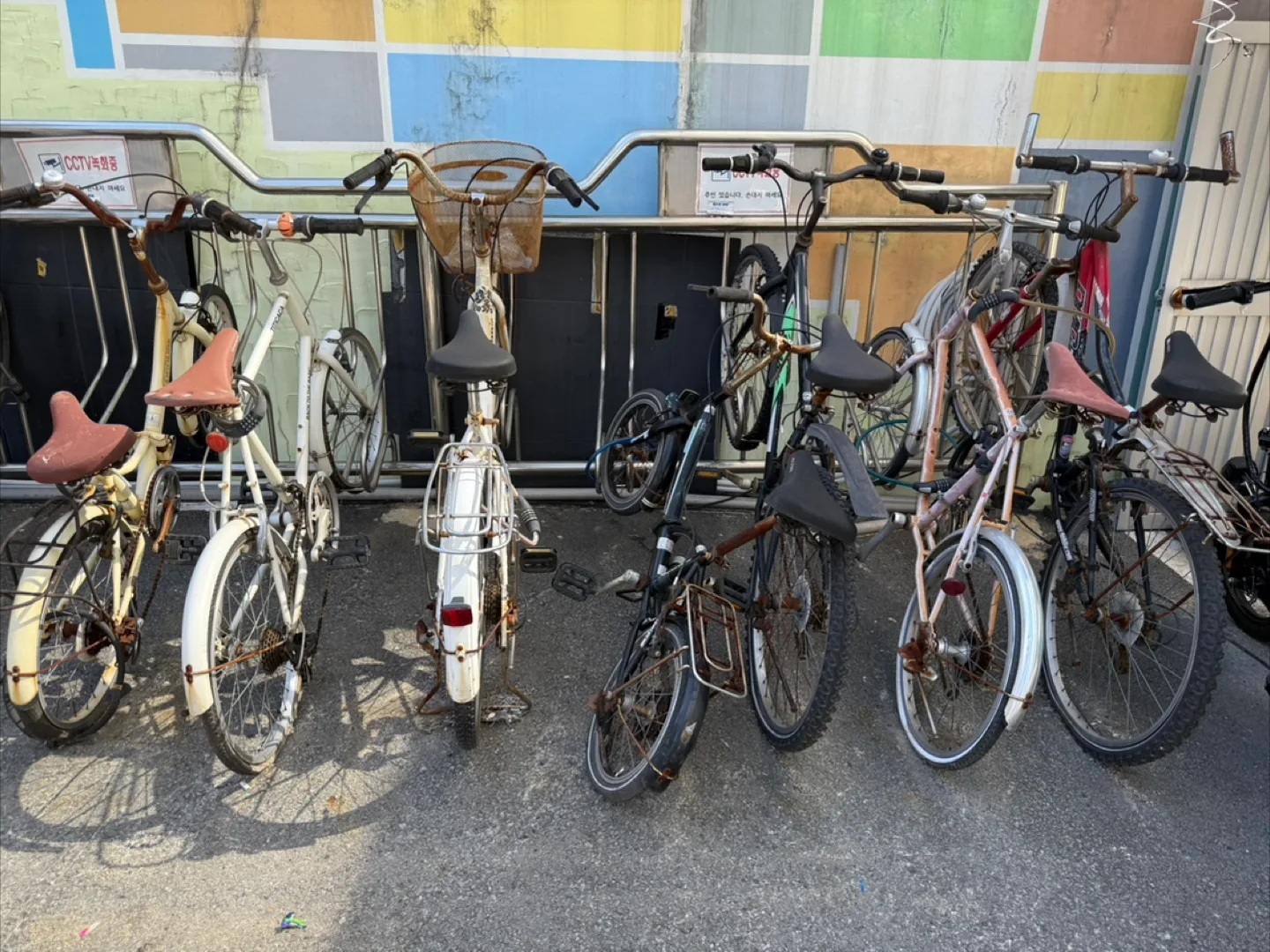 중고 자전거 판매합니다