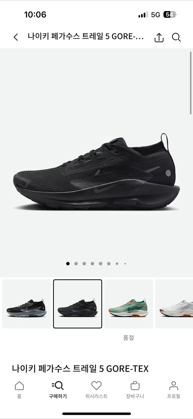 나이키 페가수스 트레일 5 고어텍스 방수신발 !! 러닝화