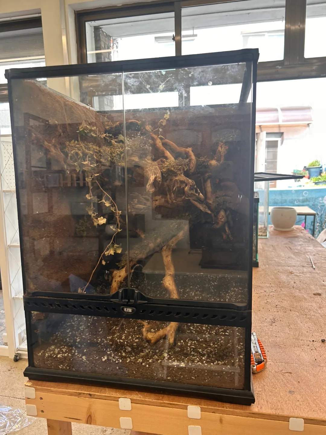 엑소테라 중고 각 만원에 급처 합니다