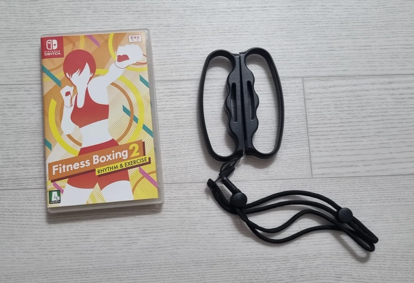 닌텐도 스위치 피트니스 복싱 2