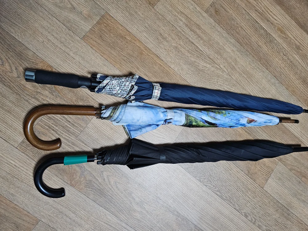 장우산 3개 한번에 정리해요!