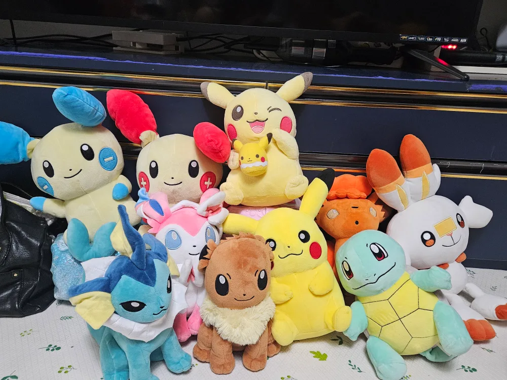 포켓몬 인형 모음일괄입니다.