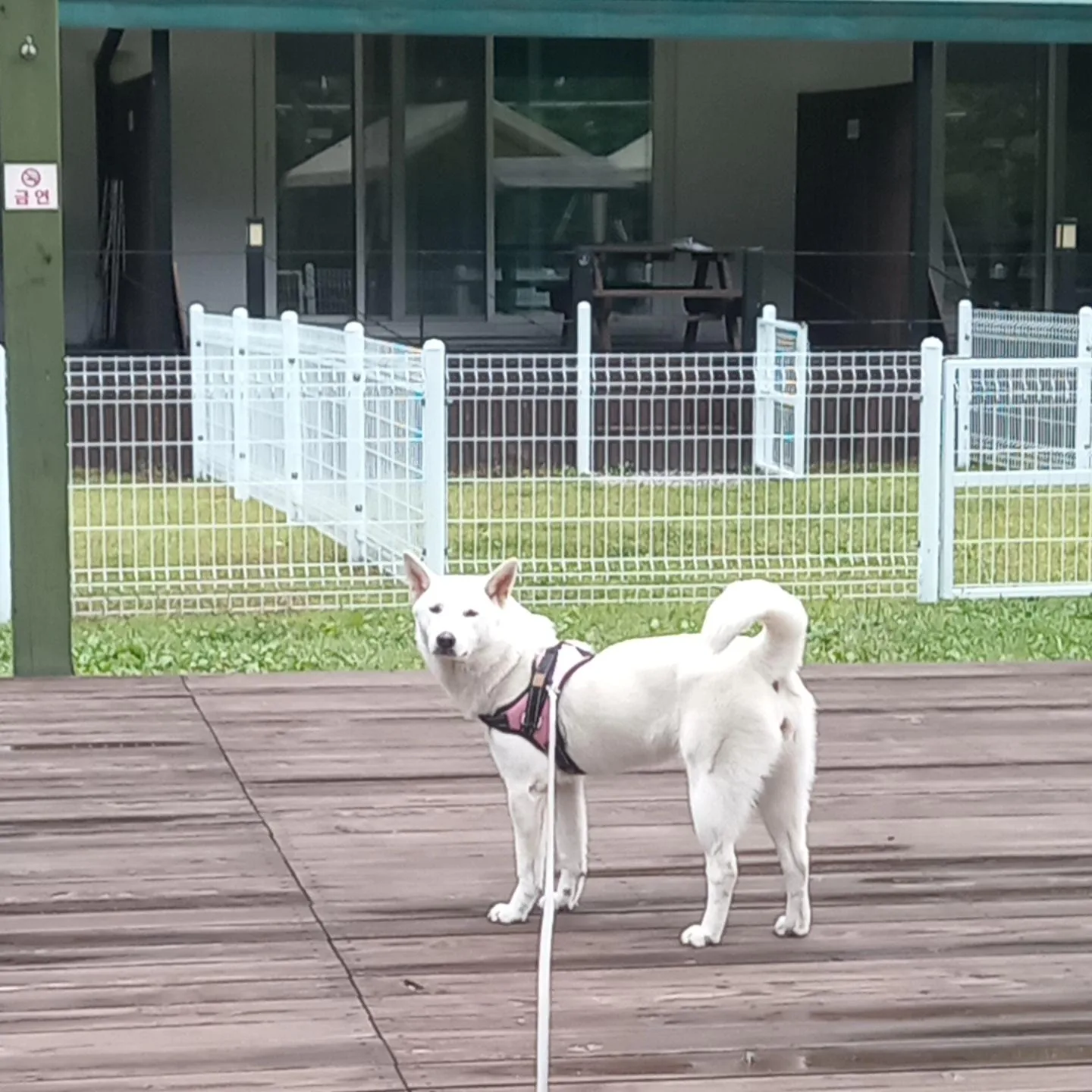 중고펜스 1200×2000