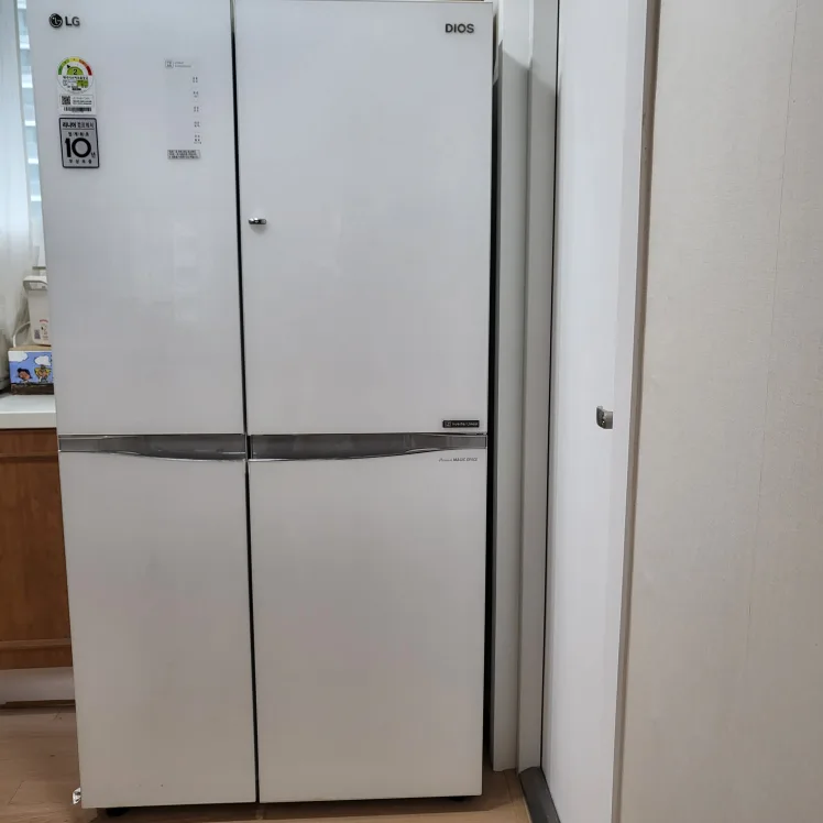 LG DIOS 냉장고