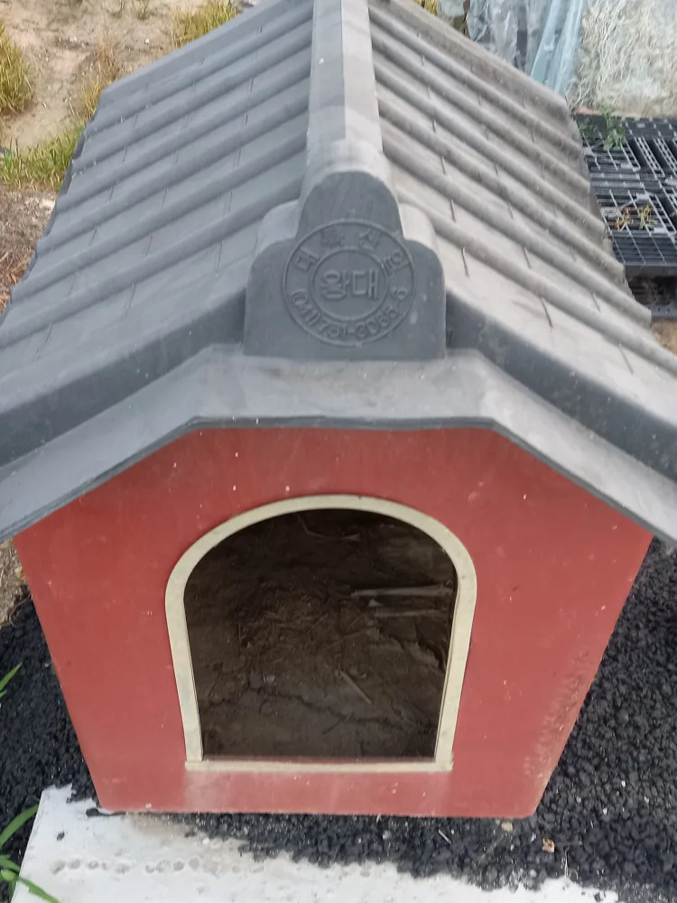 큰개집. 판매  합니다