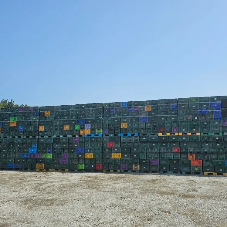 중고 플라스틱 콘티판매합니다.